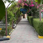 Al Bayan Palms