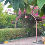 Al Bayan Palms