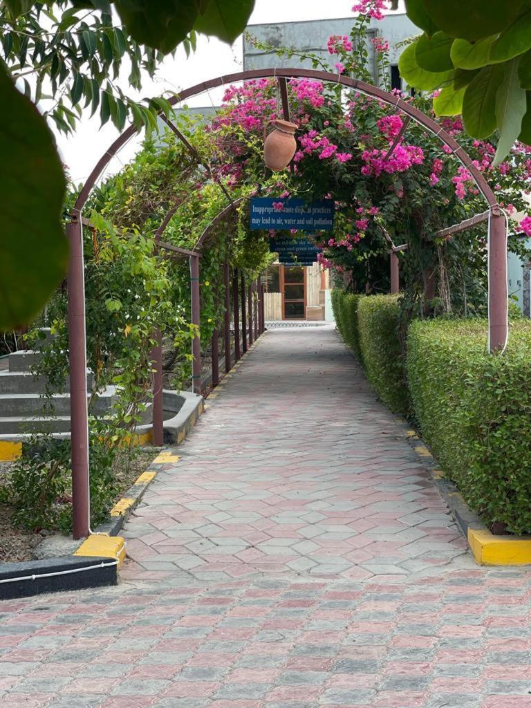 Al Bayan Palms