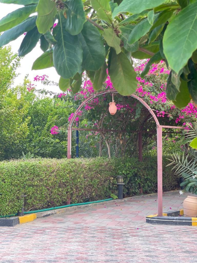 Gasthuis Al Bayan Palms *